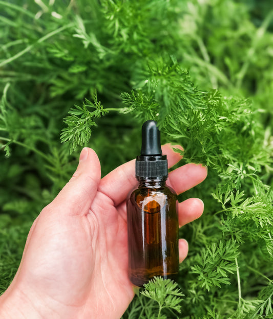 Calendula Oil Tincture