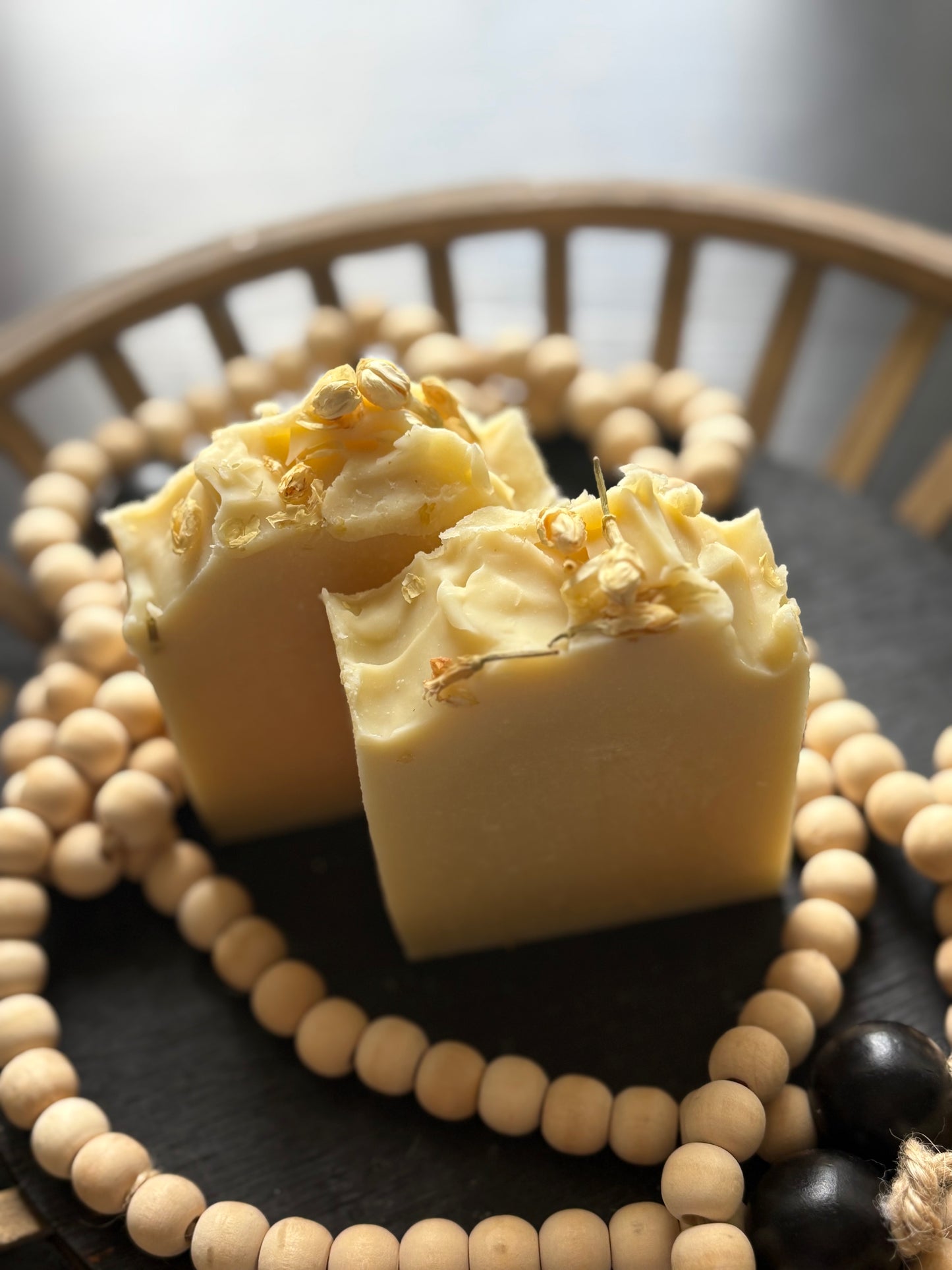 Aloe + Coconut Soap Bars